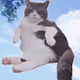 GardenerH