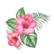SeaHibiscus