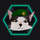 thefatcatzzz