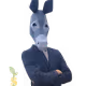 testing_finances