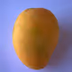 HoboMango