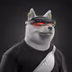 DarzB