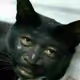 blackstress