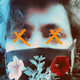 Max_xef
