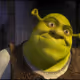 bigshrek69