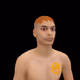 Gonzacolo