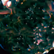 theacidblondie