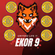 ekorsembilan