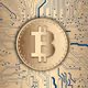 Cryptoninho_off