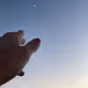 ms_ghorbani