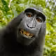 0x2c5cfcd1385a86c8b3ad1ecaeee97f03c52b62a0