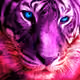 seventigers