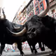 Bullmaniac