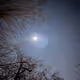 thecosmos-images