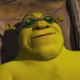 Shrekfrombottom