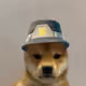 bruv