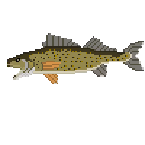 OpenSea profile picture for @perch