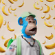 HapeMo