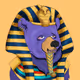 Cryptology07