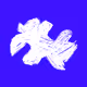 0x2d324cbd985219304b49102f1e3e77a66ae51e33