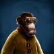 0x2d543bae3e38748d8f6d7000a8970911398c038c