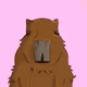 weird_capybara