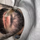 milhomens