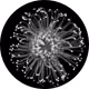 0x2d604b43bf26f665b0bb51b8e160241832922b80