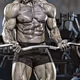 Musclulophiles