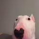 0x2d8fc44c955b7d360817382d4ccb6482420aa21b