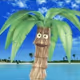 cocotero