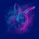 quantum_bunny