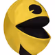 papagaio_rinoceronte