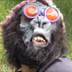 Jballard69