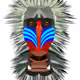 0x2e0c85b862f1d7691e2b539ef397d3dfcdcf3274