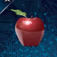 RyVault_