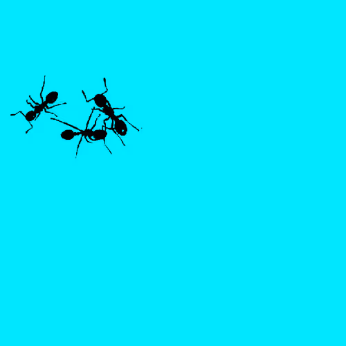 OpenSea banner for @TLC