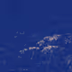 0x2e2821c8a469f8678bd98ecd00c35c6b2d45b14c