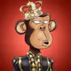quentinperera_