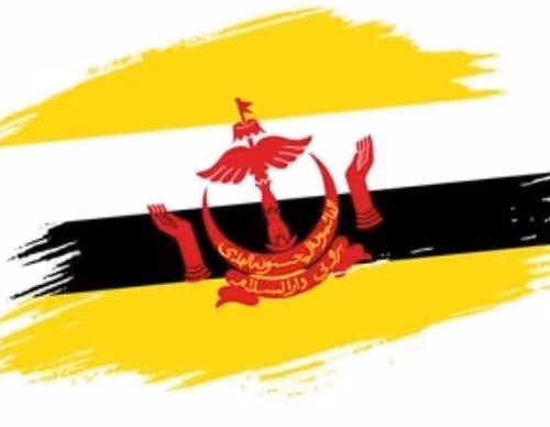 OpenSea profile picture for @Brunei