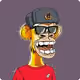 koevarken6
