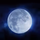fulimoon