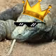 KomodoMagno