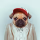 Pepperinho
