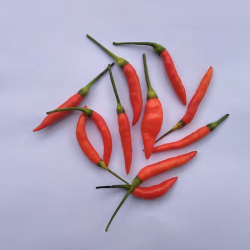 OpenSea profile picture for @Spices