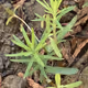 0x2eab0765a0307398ab482acc0e15ef04fc65cc5d