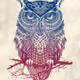 Slowly_Owly