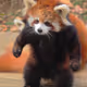 0xtheory