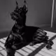 Dobermanlover