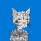 tacocat.eth